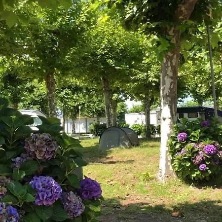 Rianxo Kamp alanı Rianjo